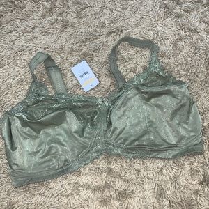 NWT Delimira 42G full cup no wire green bra